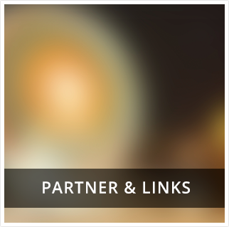 partner links