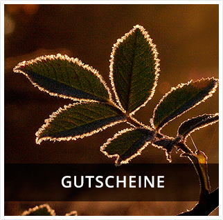 gutscheine